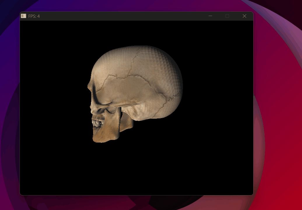 First skull with flat Phong